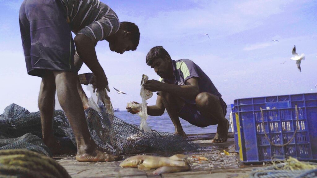 two fisherman are seen sorting through their catches