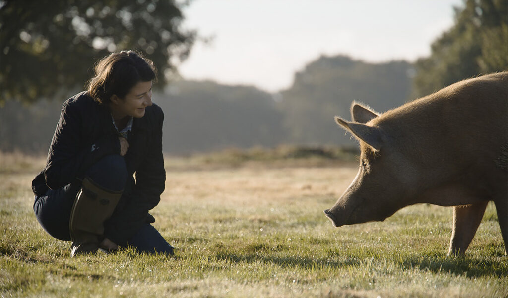 A woman wearing jeans and boots kneels down and smiles while looking eye to eye with a pig who is looking back at her. Behind them is grass and trees.